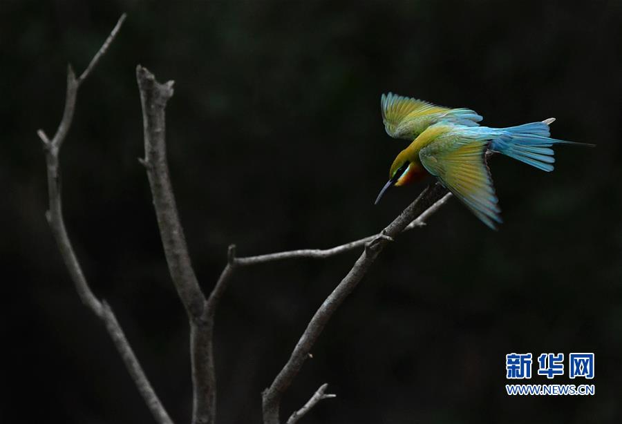 �������Ї�����1�������仢�B�T(m��n)�����ҡ�