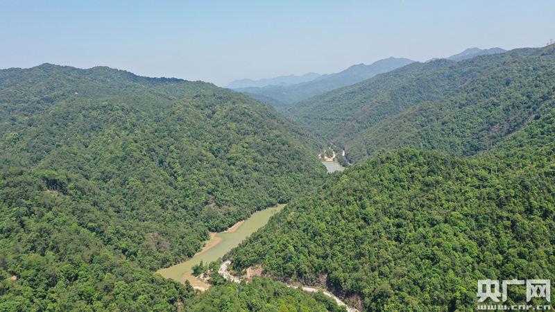 11��ʯ픱��o�^���� (1)_����.jpg