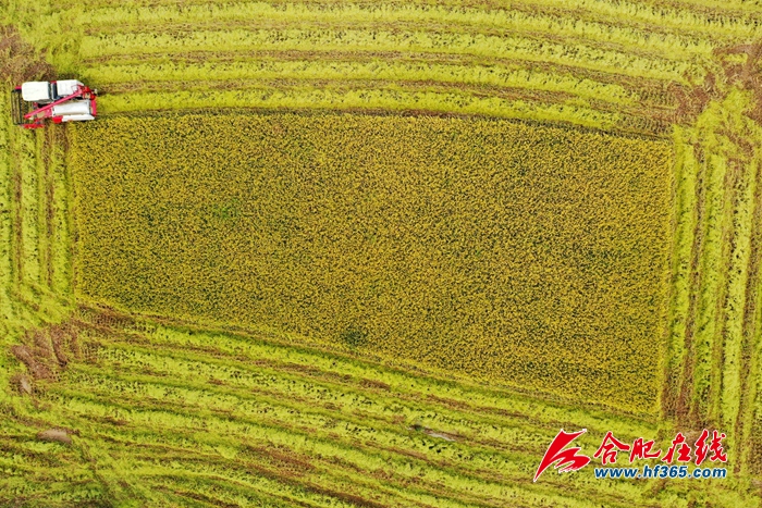 ���Ƚ��S  �w���w�} (4)